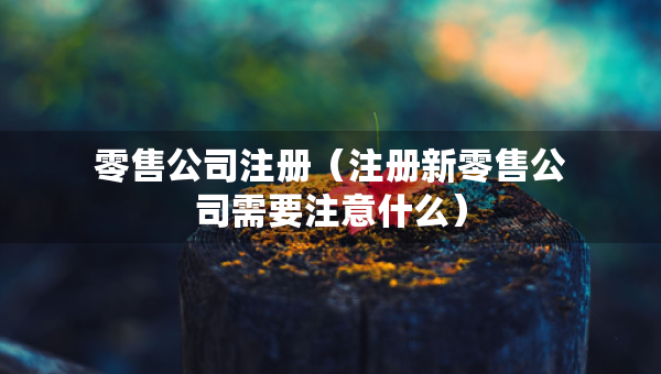 零售公司注册（注册新零售公司需要注意什么）