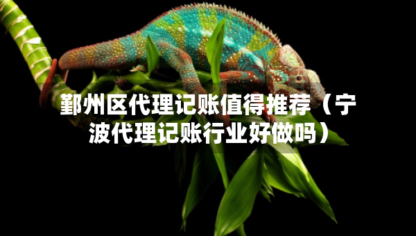 鄞州区代理记账值得推荐（宁波代理记账行业好做吗）