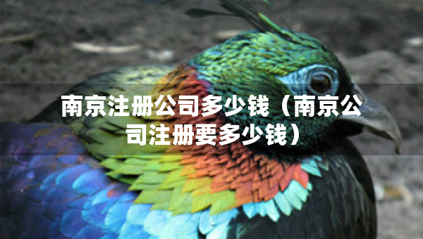 南京注册公司多少钱（南京公司注册要多少钱）