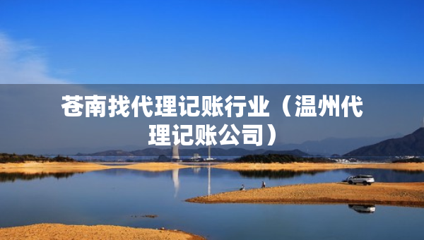 苍南找代理记账行业（温州代理记账公司）