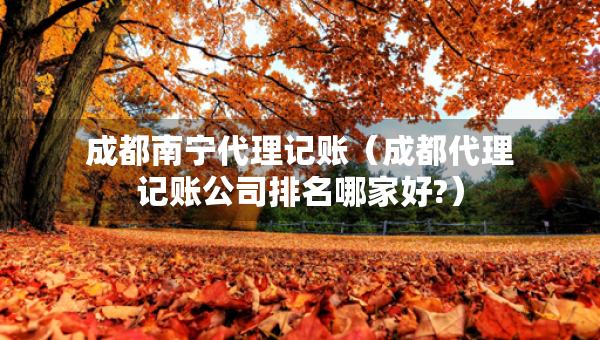成都南宁代理记账（成都代理记账公司排名哪家好?）
