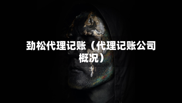 劲松代理记账（代理记账公司概况）
