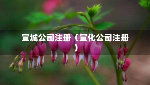 宣城公司注册（宣化公司注册）
