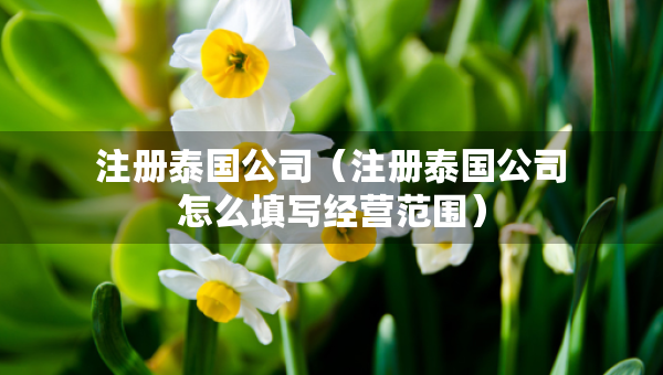 注册泰国公司（注册泰国公司怎么填写经营范围）