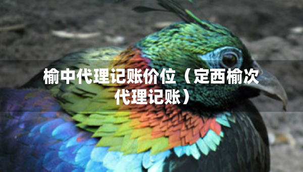 榆中代理记账价位（定西榆次代理记账）