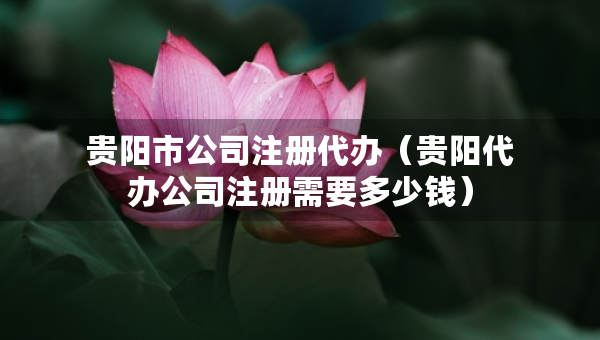 贵阳市公司注册代办（贵阳代办公司注册需要多少钱）