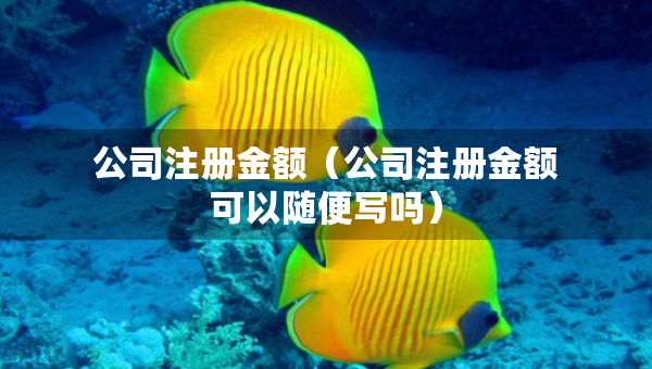 公司注册金额（公司注册金额可以随便写吗）