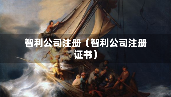 智利公司注册(智利公司注册证书) 智利公司注册(智利公司注册证书)