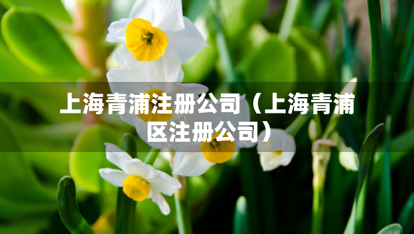 上海青浦注册公司（上海青浦区注册公司）