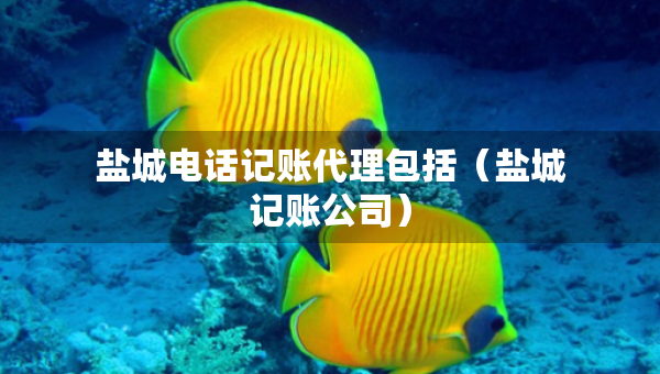 盐城电话记账代理包括（盐城记账公司）