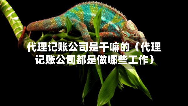 代理记账公司是干嘛的（代理记账公司都是做哪些工作）