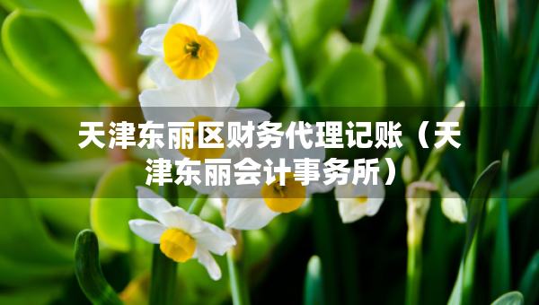 天津东丽区财务代理记账（天津东丽会计事务所）