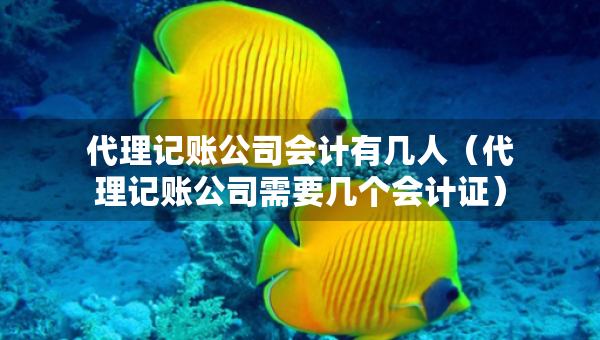 代理记账公司会计有几人（代理记账公司需要几个会计证）