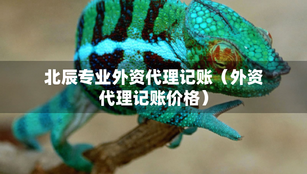 北辰专业外资代理记账（外资代理记账价格）