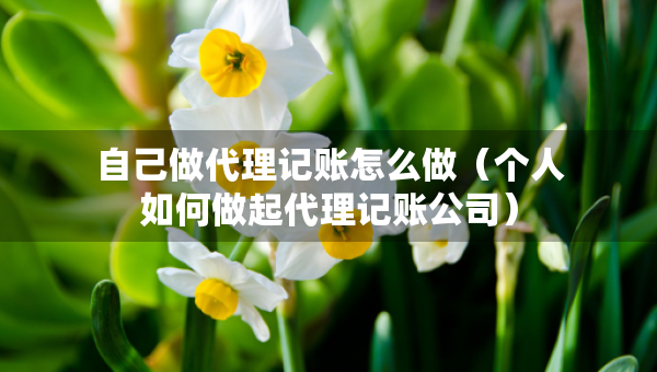 自己做代理记账怎么做（个人如何做起代理记账公司）