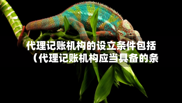 代理记账机构的设立条件包括（代理记账机构应当具备的条件）