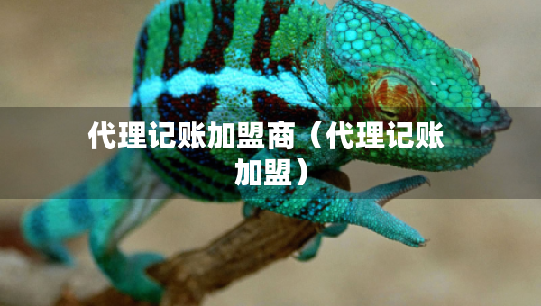 代理记账加盟商（代理记账 加盟）