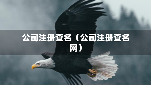 公司注册查名（公司注册查名网）