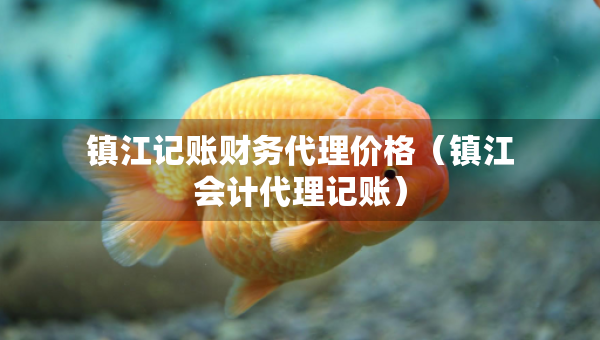 镇江记账财务代理价格（镇江会计代理记账）