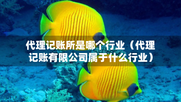 代理记账所是哪个行业（代理记账有限公司属于什么行业）