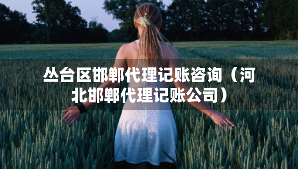 丛台区邯郸代理记账咨询（河北邯郸代理记账公司）