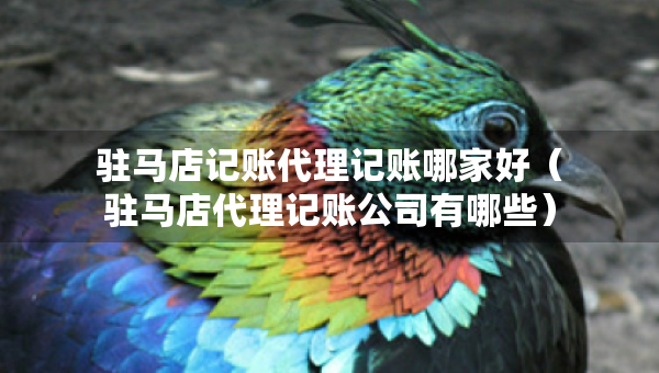 驻马店记账代理记账哪家好（驻马店代理记账公司有哪些）