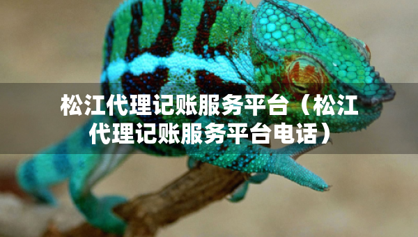 松江代理记账服务平台（松江代理记账服务平台电话）