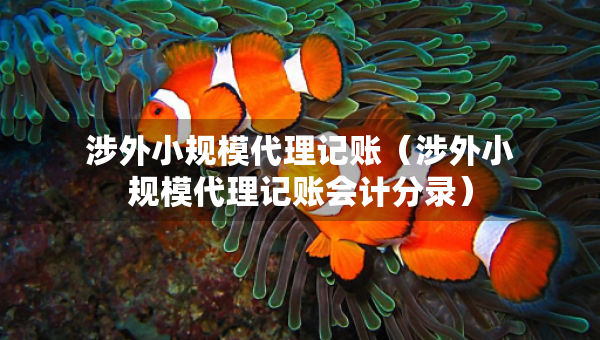 涉外小规模代理记账（涉外小规模代理记账会计分录）