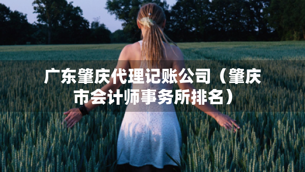 广东肇庆代理记账公司（肇庆市会计师事务所排名）