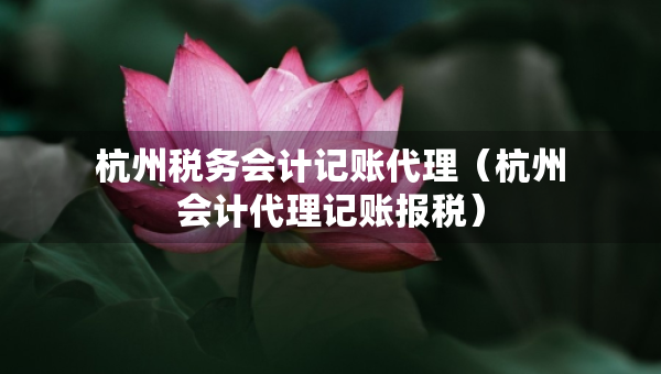 杭州税务会计记账代理（杭州会计代理记账报税）