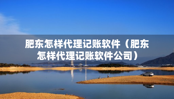 肥东怎样代理记账软件（肥东怎样代理记账软件公司）