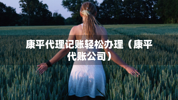 康平代理记账轻松办理（康平代账公司）