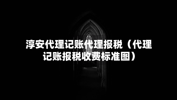 淳安代理记账代理报税（代理记账报税收费标准图）