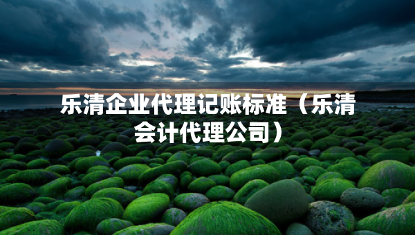 乐清企业代理记账标准（乐清会计代理公司）
