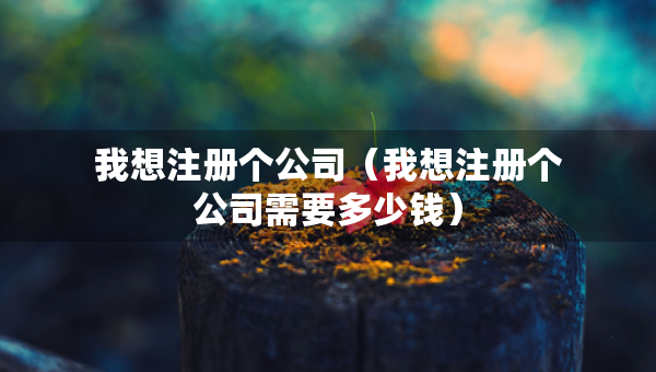我想注册个公司（我想注册个公司需要多少钱）