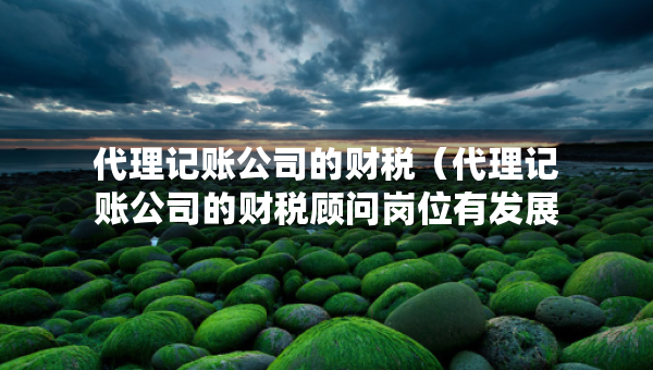 代理记账公司的财税（代理记账公司的财税顾问岗位有发展空间么）