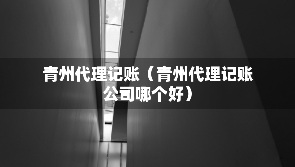 青州代理记账（青州代理记账公司哪个好）