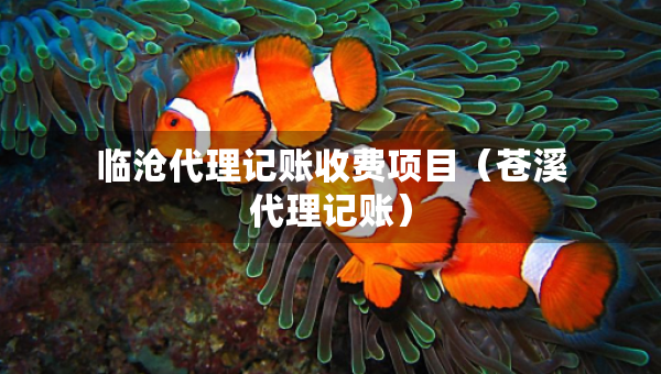 临沧代理记账收费项目（苍溪代理记账）