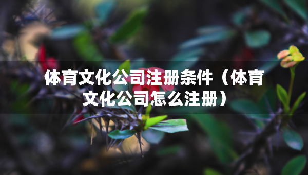 体育文化公司注册条件（体育文化公司怎么注册）