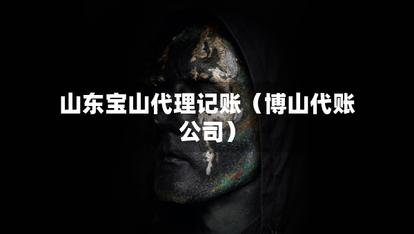 山东宝山代理记账（博山代账公司）