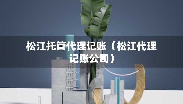 松江托管代理记账（松江代理记账公司）