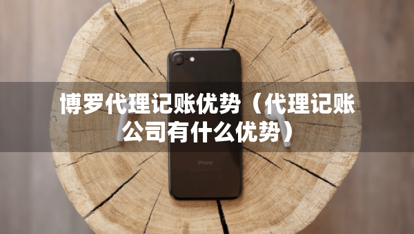 博罗代理记账优势（代理记账公司有什么优势）