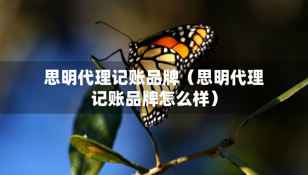 思明代理记账品牌（思明代理记账品牌怎么样）
