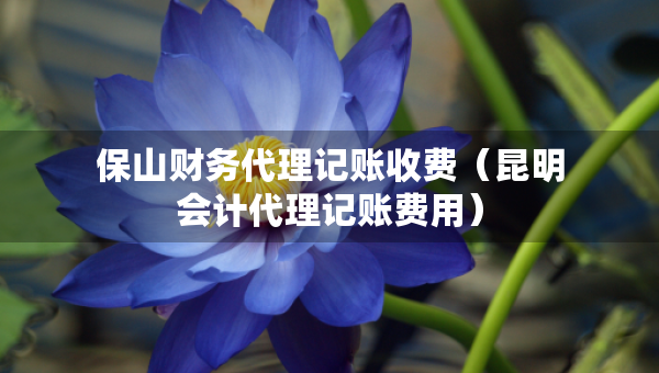 保山财务代理记账收费（昆明会计代理记账费用）