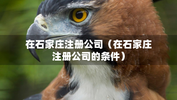 在石家庄注册公司（在石家庄注册公司的条件）
