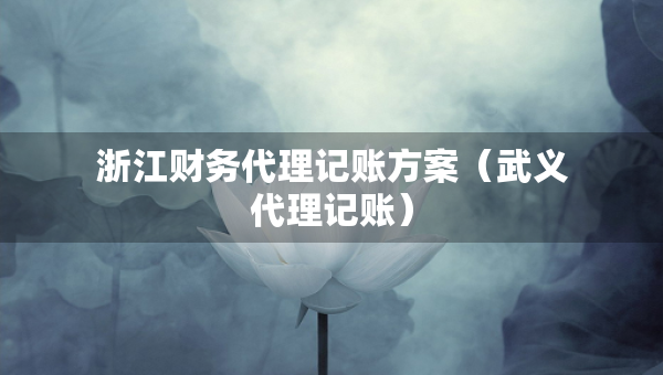 浙江财务代理记账方案（武义代理记账）
