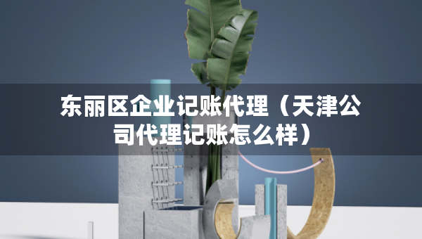 东丽区企业记账代理（天津公司代理记账怎么样）