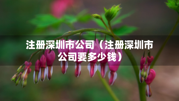 注册深圳市公司（注册深圳市公司要多少钱）