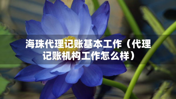 海珠代理记账基本工作（代理记账机构工作怎么样）