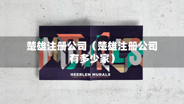 楚雄注册公司（楚雄注册公司有多少家）